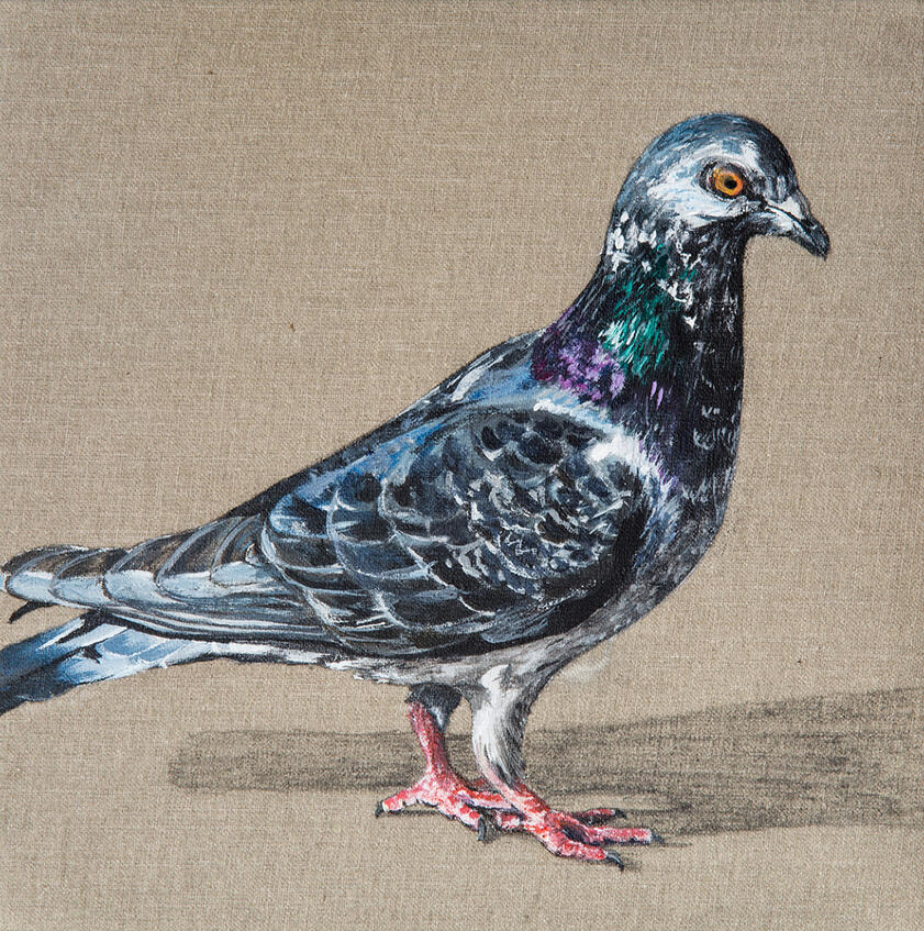 B90119 18 x 18 cm acrylic on canvas Available