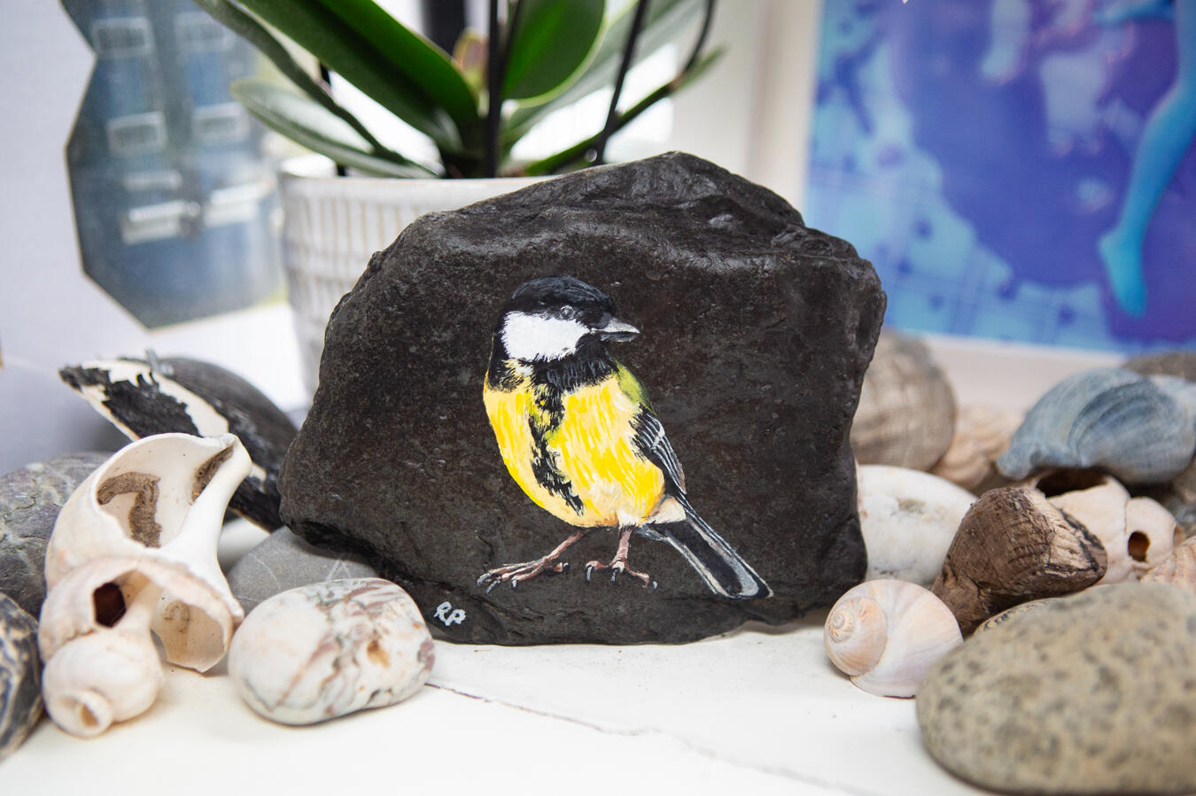 Male Great Tit painted on a dark piece of river worn slate