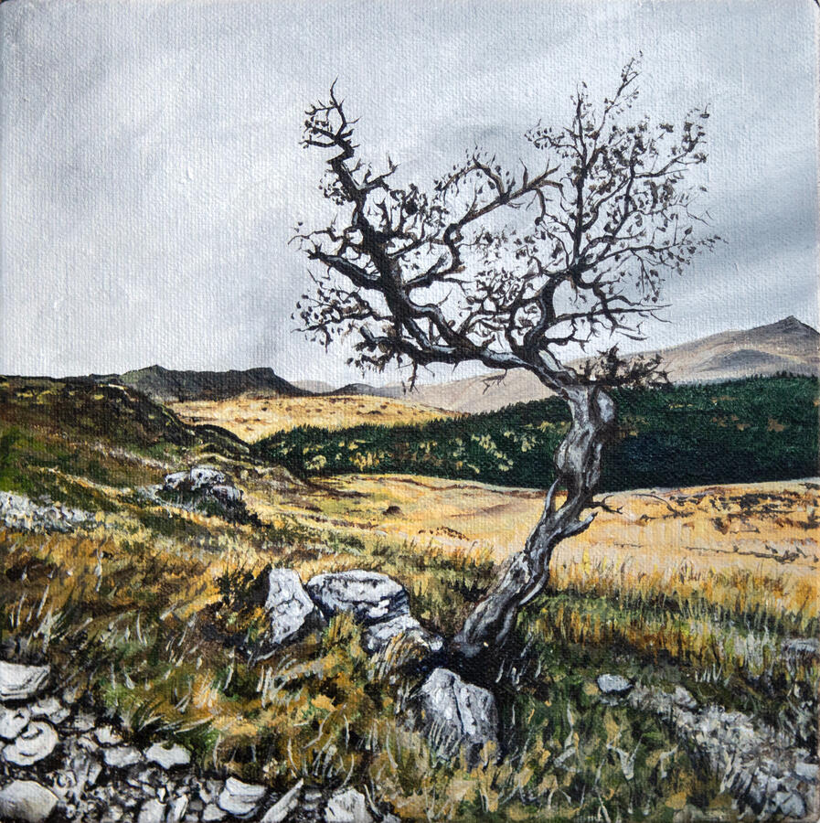 A Lonely Old Tree on the Edge of Eryri 18 x 18 x 3 cm acrylic on canvas Available