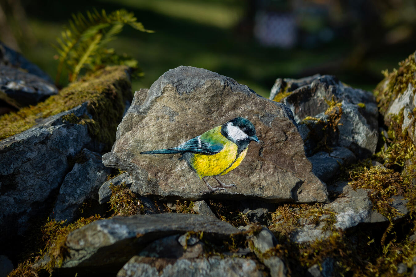 Great Tit #1 £75