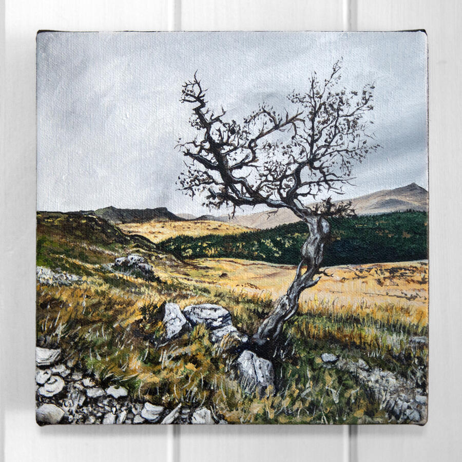 A Lonely Old Tree on the Edge of Eryri 18x18x3 cm acrylic on canvas board £150